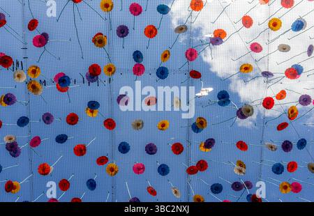 Opere d'arte floreali Sky Garden Green Street Cambridge Foto Stock