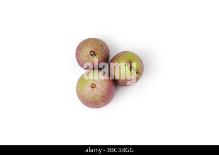 Tre mele stellate fresche con sfumature viola e verde sono isolate su sfondo bianco. Le loro pelli lisce e lucide riflettono la luce Foto Stock