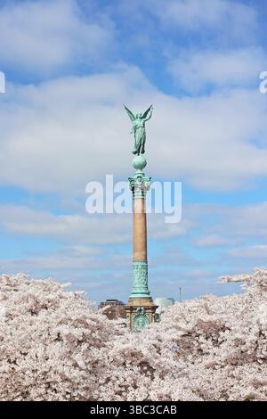 Alberi di ciliegio in fiore nel parco Langelinie con la colonna Ivar Huitfeldt a Copenaghen, Danimarca Foto Stock