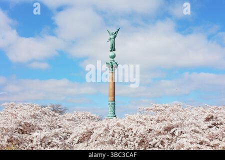 Alberi di ciliegio in fiore nel parco Langelinie con la colonna Ivar Huitfeldt a Copenaghen, Danimarca Foto Stock