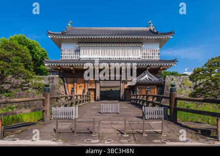 Castello di Kagoshima, un castello giapponese in stile pianeggiante del periodo Edo nella città di Kagoshima, Kyushi, Giappone Foto Stock
