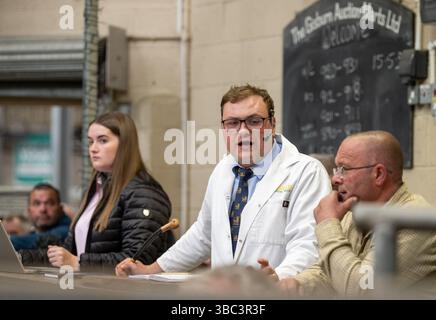 Banditore che vende bestiame al Gisburn Livestock Market, Lancashire, Regno Unito. Foto Stock