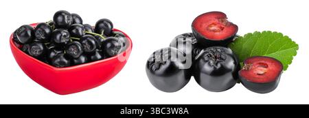 Ciotola di cioccolato in ceramica isolata su sfondo bianco. Aronia nera. Foto Stock