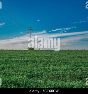 concetto di potenza: linea elettrica sopra un prato verde e contro un cielo blu. Castelmaggiore, città metropolitana di Bologna, Emilia-Romagna, Italia Foto Stock