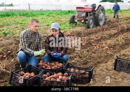 Agricoltori che posano su una piantagione di verdure vicino a una pila di scatole di plastica con patate appena raccolte. Concetto di business agrario di successo e ricco Foto Stock