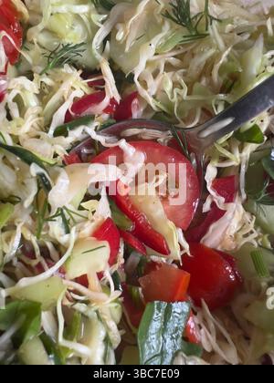 Insalata di verdure fresche, cavolo verde grattugiato, peperone rosso, pomodoro, cetriolo, e cipolle verdi. Colorato, sano Foto Stock