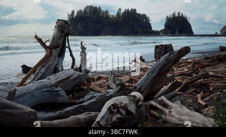 Tronchi di Driftwood che giacciono sulla First Beach con onde che si schiantano in lontananza a la Push, Washington Foto Stock