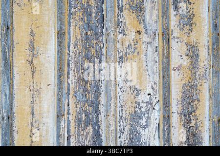 Sfondo rustico e in legno intemprato - tavole da un muro di casa abbandonata con colori blu e gialli che si staccano dalla vernice Foto Stock