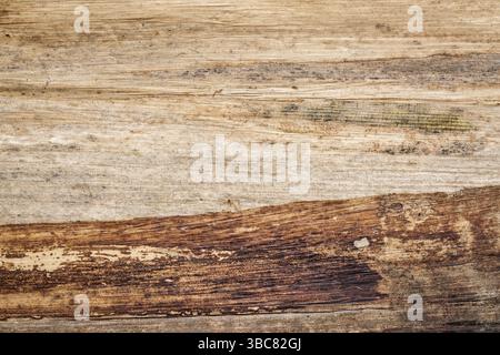 Sfondo di carta banana tailandese, Banana Plank Paper è creato mettendo insieme grandi foglie di banana e sostenendole con un panno di formaggio Foto Stock