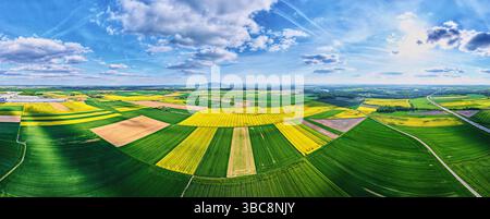 Ampia vista aerea dei campi di colza gialli in fiore tra i verdi terreni agricoli. Paesaggio colorato con colture di colza sotto il cielo blu Foto Stock