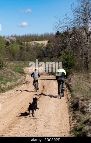 Due ciclisti e il loro cane si godranno un soleggiato giro in bicicletta pomeridiano lungo un sentiero sterrato attraverso i boschi. L'atmosfera è tranquilla e gioiosa. Foto Stock