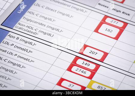 Red flag per colesterolo ad alto rischio - un dettaglio dei risultati degli esami di laboratorio del sangue con particolare attenzione al pannello lipidi Foto Stock