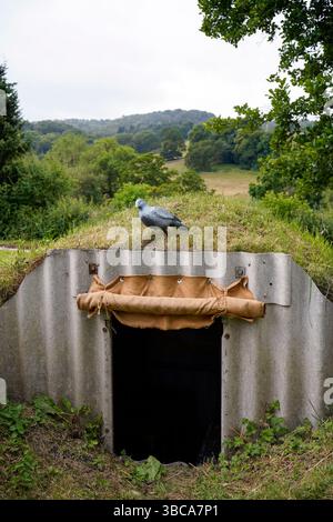 Seconda guerra mondiale rievocazione Peak Rail Rowlsey Derbyshire Inghilterra luglio 2024 Foto Stock