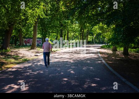 Anziani berlinesi che camminano con i bastoncini attraverso il parco Tiergarten a Berlino. Germania Foto Stock