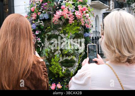 Belgravia, Londra, Regno Unito. 19 maggio 2025. Esposizioni floreali per Belgravia in Bloom. Crediti: Matthew Chattle/Alamy Live News Foto Stock