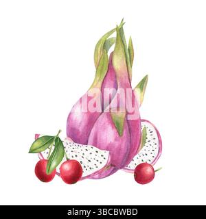 Dragon Fruit con bacche rosse, illustrazione ad acquerello, sfondo isolato. Pitahaya e composizione di ciliegie o acerola per il marchio di superfood Foto Stock