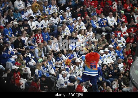 Stoccolma, Svezia. 19 maggio 2025. STOCCOLMA, SVEZIA 20250519 tifosi finlandesi durante l'IIHF Ice Hockey World Championship A gironi tra Canada e Finlandia all'Avicii Arena di Stoccolma, Svezia, il 19 maggio 2025. Foto: Fredrik Sandberg/TT/codice 10080 credito: TT News Agency/Alamy Live News Foto Stock