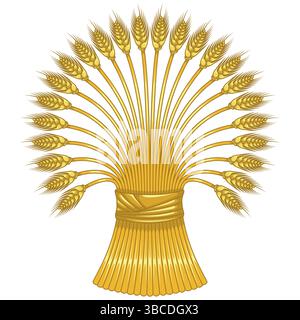 Orecchie di grano, semola di cereali biologica, prodotto da campo per la creazione di farine Illustrazione Vettoriale