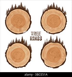 Tronco di alberi rotondi taglia con alberi e foreste. Fette di pino o quercia segate, legname. Sega tagliava legname, legno. Struttura in legno marrone con anelli ad albero. Disegnato a mano Illustrazione Vettoriale