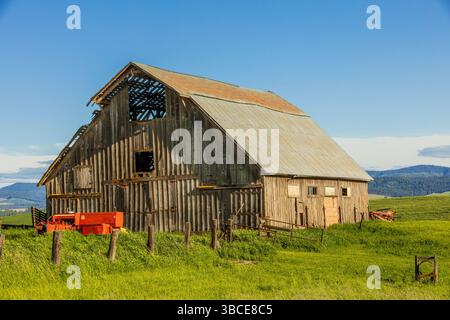 Stati Uniti, Stato di Washington, Washington orientale, regione di Palouse, Colfax. Vecchio legno, fienile. Trattore rosso, attrezzature agricole. Campi di grano verde. recinzione del filo. Foto Stock
