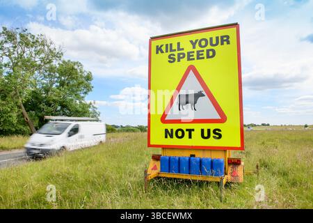 Cartello segnaletico per il bestiame a Minchinhampton Common, Gloucestershire Regno Unito. Foto Stock