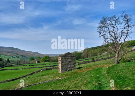 Capanne di pietra a Swaledale vicino a Muker, Yorkshire Dales, North Yorkshire Foto Stock