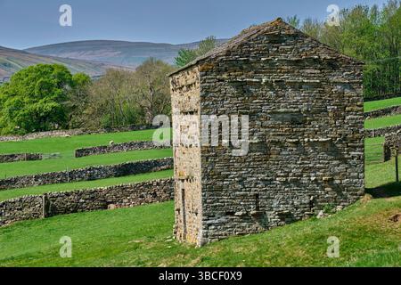 Capanna in pietra a Swaledale vicino a Muker, nel North Yorkshire Foto Stock