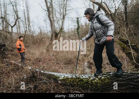Due persone esplorano una foresta in una giornata fredda, attraversano un tronco di muschio con uno che si sostiene con un bastone da passeggio Foto Stock