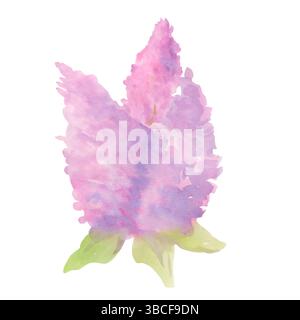 Fiori di lilla astratti. Illustrazione ad acquerello disegnata a mano isolata su sfondo bianco. Fiori viola con foglie, rami di fiori lilla, fiori Foto Stock