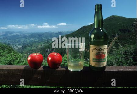 Bottiglia di sidro con bicchiere e mele, Cangas de Onis, Asturia, Spagna, bottiglia di sidro con bicchiere e mele, Asturie, specialità, sidro, Sidra, Spagna, Foto Stock