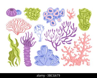 Questa vivace collezione presenta coralli illustrati e colorate piante marine, ideali per progetti a tema oceanico Illustrazione Vettoriale