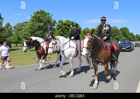 City of London Mounted Police, Chestnut Sunday, 11 maggio 2025. Bushy Park, Hampton Court, Greater London, Inghilterra, Regno Unito, Regno Unito, Europa Foto Stock