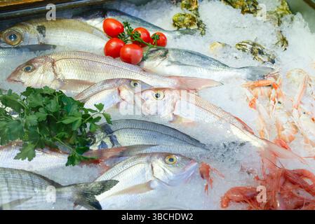 Pesce fresco e frutti di mare esposti su ghiaccio con pomodori ed erbe aromatiche come contorno. Sicilia, Italia Foto Stock