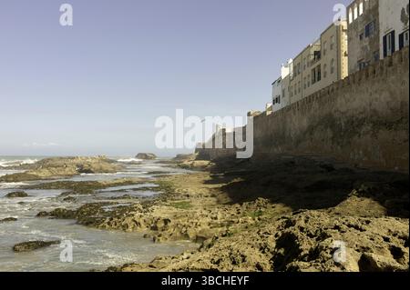 Costa rocciosa con mura storiche della fortezza, edifici bianchi e un lontano gabbiano. Marocco Foto Stock