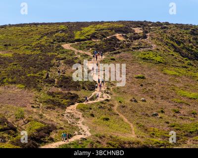 Gli escursionisti seguono un sentiero attraverso la brughiera di heather a Ilkley Moor, West Yorkshire, in una giornata di sole primaverili. REGNO UNITO Foto Stock
