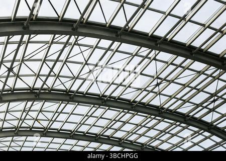 Moderno tetto in vetro in acciaio. Struttura curva geometrica. Soffitto architettonico con barre metalliche. Struttura trasparente. Futuristico motivo a cupola. Foto Stock