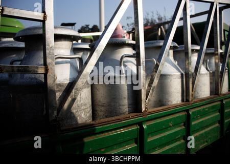 il tipico latte d'argento si deposita su un camion a pianale piatto verde per la consegna Foto Stock