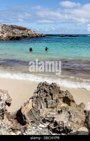 Bagnanti che si godono la spiaggia di sabbia bianca di Little Salmon Bay sulla costa meridionale di Rottnest Island (Wadjemup), Australia Occidentale, Australia Occidentale, Australia Occidentale. Foto Stock
