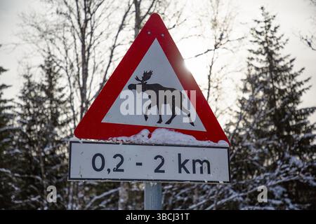 Il cartello stradale in Norvegia avvisa di alci dalla strada in inverno Foto Stock