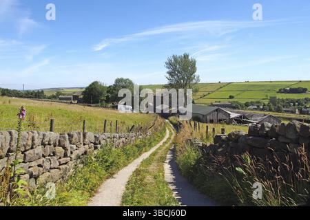 Stretta strada di campagna che scende da una collina nella panoramica campagna dello yorkshire occidentale vicino al villaggio di colden a calderdale, nello yorkshire occidentale Foto Stock