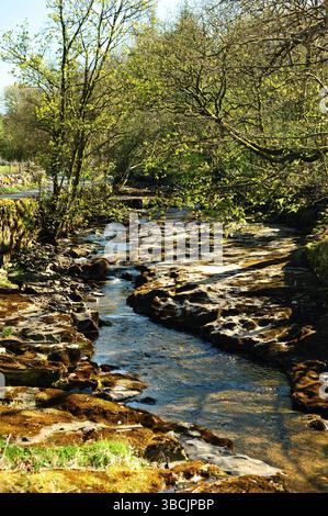 River Dee nella parte superiore di Dentdale, situato all'interno dello Yorkshire Dales National Park, Regno Unito. Girato alla fine di aprile 2025 Foto Stock