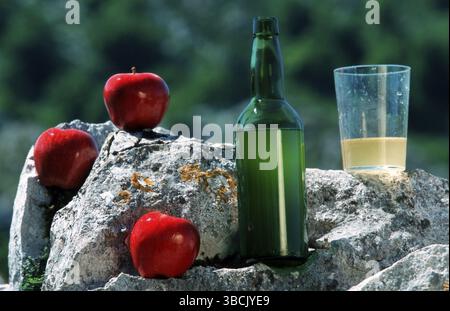 Bottiglia di sidro con bicchiere e mele, Cangas de Onis, Asturias, Cidre, Sidra, Spagna, Europa Foto Stock