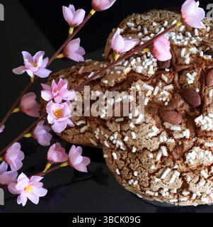 Сolomba Pasquale. Tradizionale pane pasquale dolce italiano condito con zucchero perlato e mandorle candite su sfondo nero. Torta di colomba di Pasqua. Foto Stock
