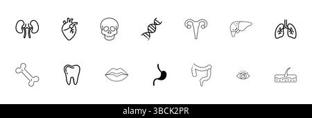 Set di icone per organi del corpo umano e linee anatomiche che includono cuore, rene, polmone, cranio, DNA, stomaco, occhio Illustrazione Vettoriale