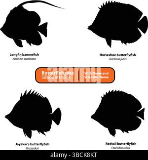 Butterflyfishes silhouette Vector Set | Chaetodontidae con nomi comuni e scientifici Illustrazione Vettoriale