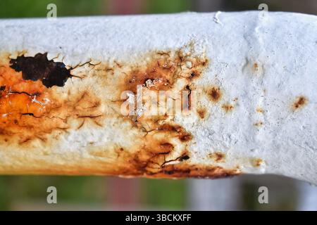 Vecchio tubo ruggine. Tubo dell'acqua in metallo indurito con vernice staccabile e ruggine Foto Stock