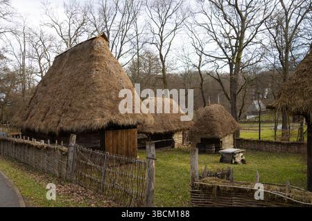 Antiche case al Museo Astra, la più importante istituzione etno-museo in Romania. Foto Stock