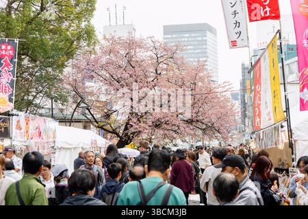Ingresso al Parco di Ueno con fiori di ciliegio già parzialmente in piena fioritura, Tokyo, Giappone Foto Stock