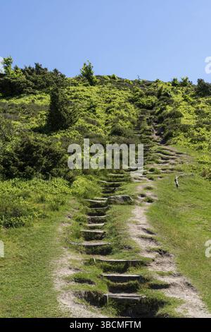 sentiero escursionistico che conduce con scale di legno fino alla cima di una collina in campagna paludi Foto Stock