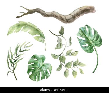 Set tropicale di piante, acquerello. Rami di palma, monstera, liana, foglia di banana, ramo. Illustrazione vettoriale disegnata a mano. Per striscioni, biglietti, inviti Illustrazione Vettoriale